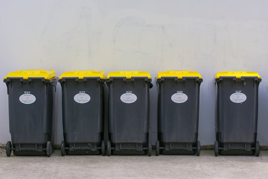 What to know about Merton Council rubbish collection rules